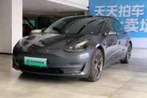 Model 3 特斯拉 Performance高性能全輪驅(qū)動(dòng)版