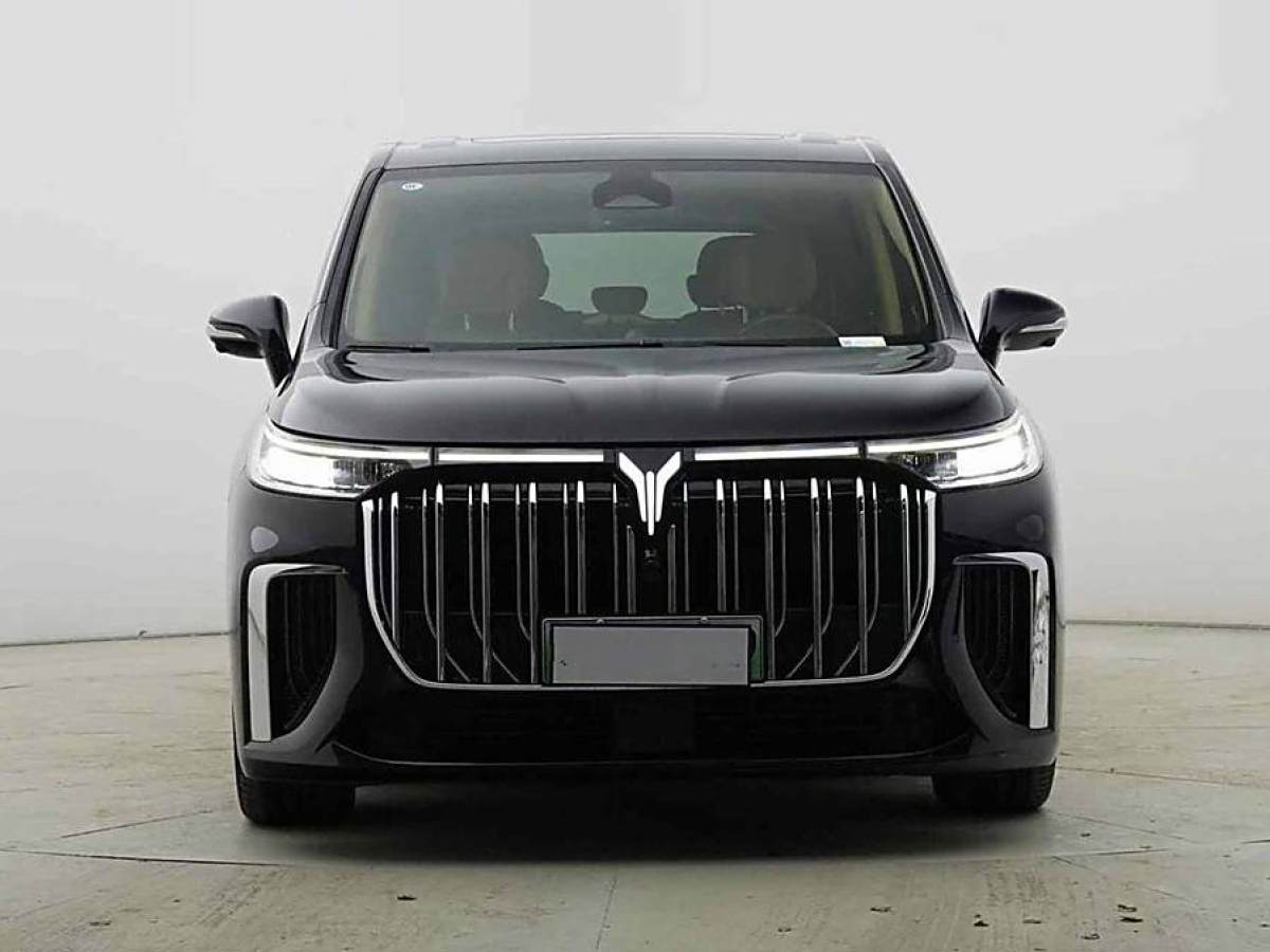 嵐圖 夢(mèng)想家  2024款 PHEV 超長(zhǎng)續(xù)航旗艦版圖片