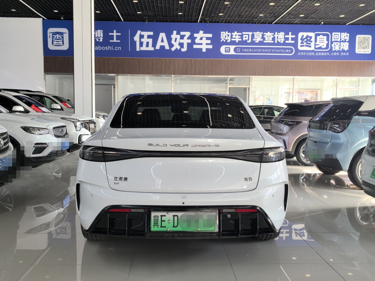 比亞迪 海豹  2022款 700km 長(zhǎng)續(xù)航后驅(qū)版圖片