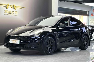 Model Y 特斯拉 焕新版 后轮驱动