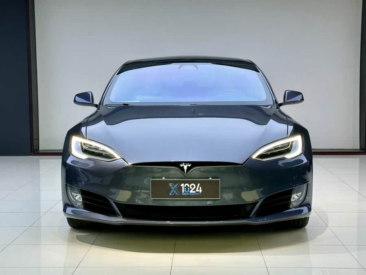 特斯拉 Model S  2019款 長續(xù)航版圖片