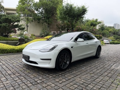 特斯拉 Model 3  2019款 長(zhǎng)續(xù)航全輪驅(qū)動(dòng)版圖片