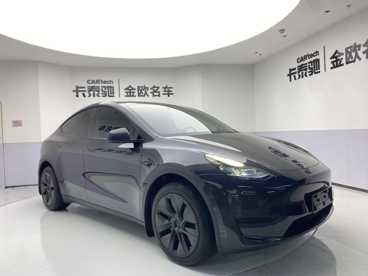 特斯拉 Model Y  2020款 改款 长续航后轮驱动版图片