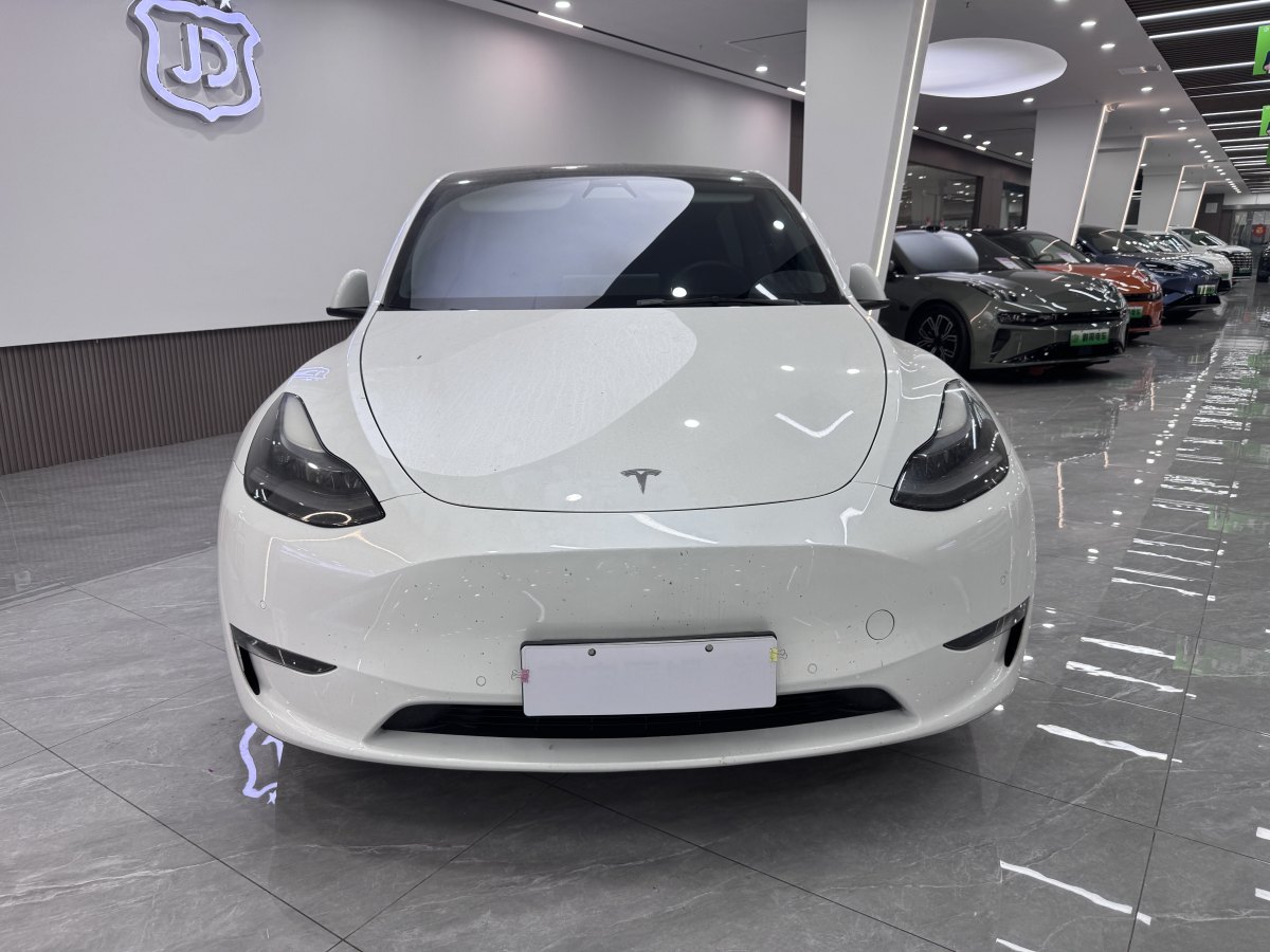 特斯拉 Model Y  2021款 改款 標(biāo)準(zhǔn)續(xù)航后驅(qū)升級(jí)版圖片