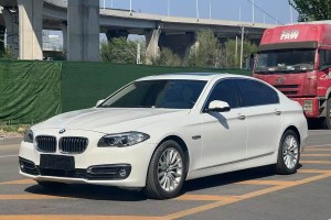 寶馬5系 寶馬 525Li 豪華設(shè)計(jì)套裝