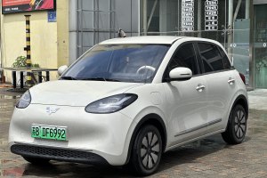 五菱繽果 五菱 333km 悅享款