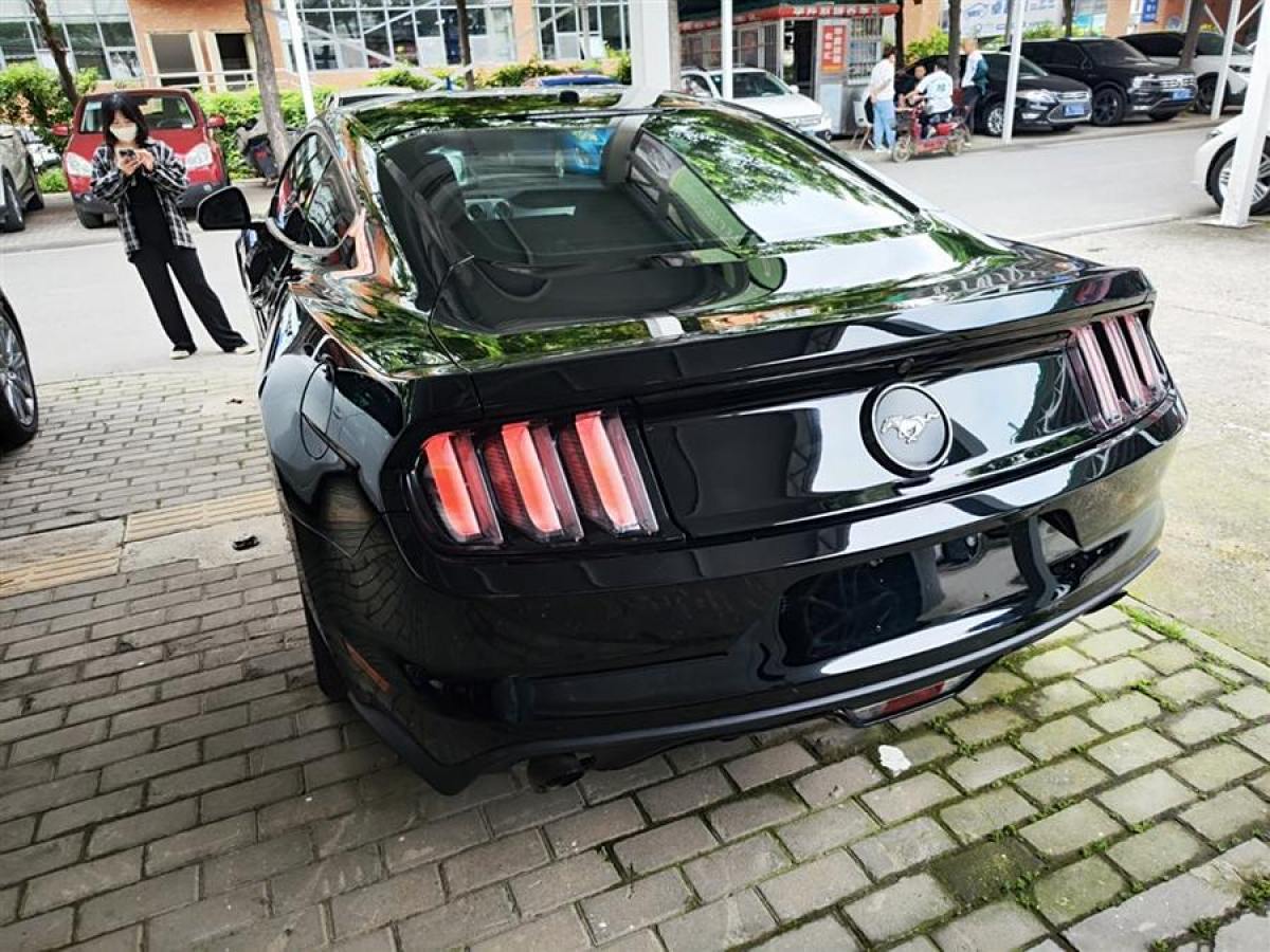 福特 Mustang  2015款 2.3T 性能版圖片