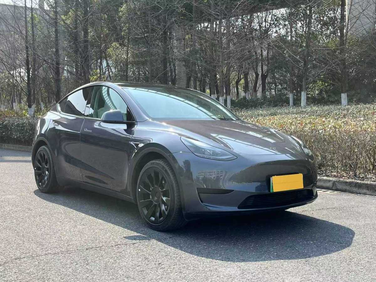 特斯拉 Model 3  2022款 后輪驅(qū)動版圖片