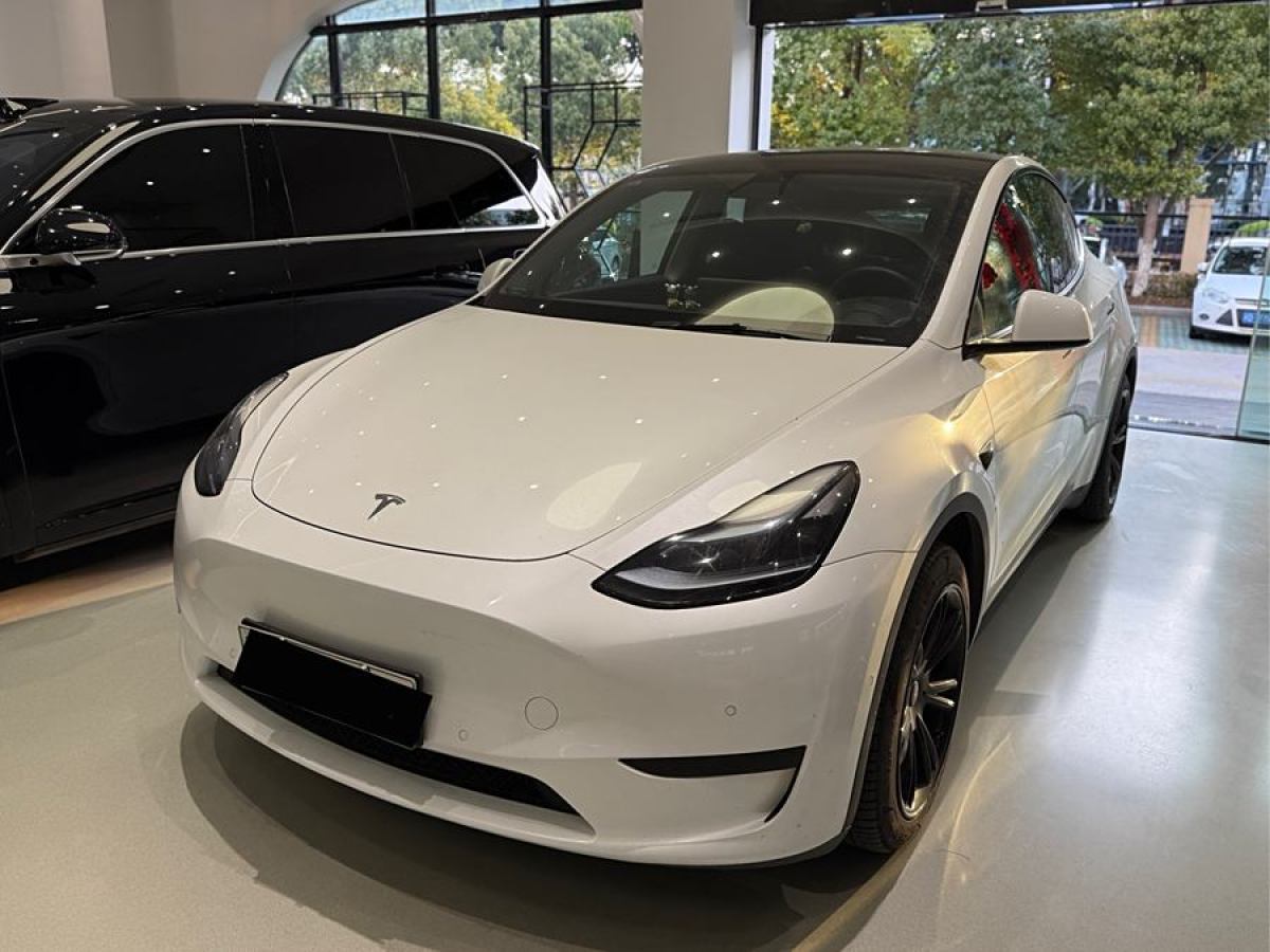 2023年3月特斯拉 Model 3  2020款 改款 長續(xù)航后輪驅動版