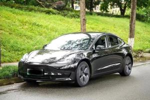 Model 3 特斯拉 改款 標(biāo)準(zhǔn)續(xù)航后驅(qū)升級版