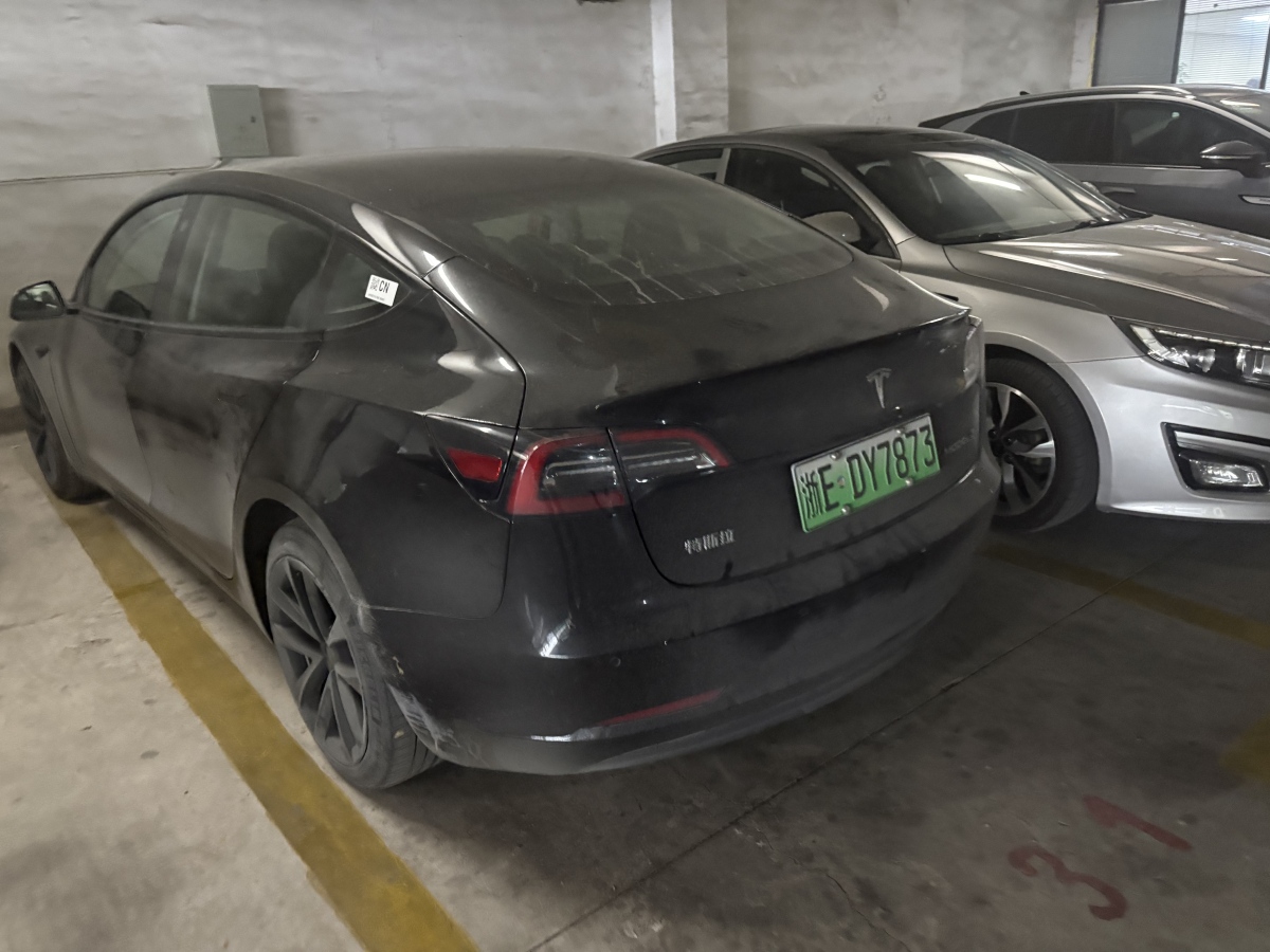 特斯拉 Model 3  2019款 標(biāo)準(zhǔn)續(xù)航后驅(qū)升級(jí)版圖片