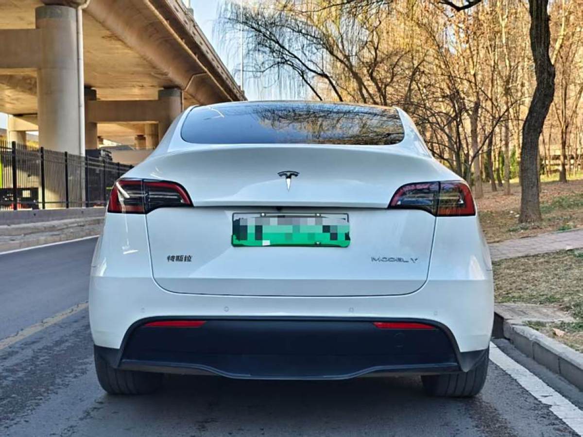 特斯拉 Model 3  2022款 后輪驅(qū)動版圖片