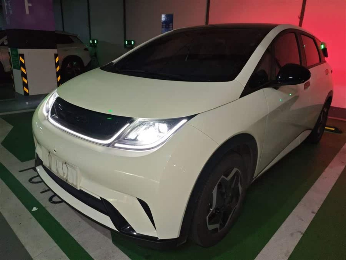 比亞迪 海豚  2021款 405km 時(shí)尚版圖片