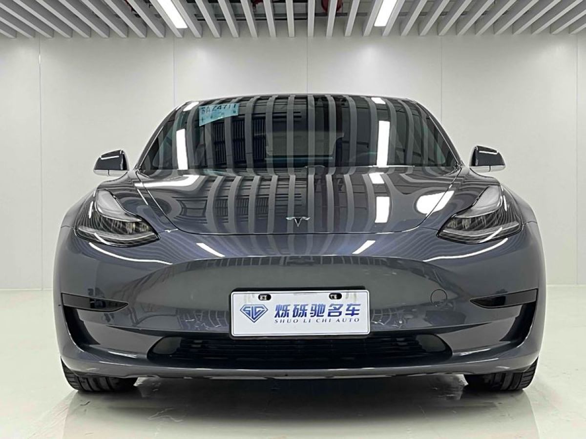 特斯拉 Model 3  2019款 標(biāo)準(zhǔn)續(xù)航后驅(qū)升級(jí)版圖片