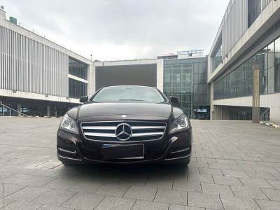 2014年6月 奔馳 奔馳CLS級(進口) CLS 300 CGI圖片