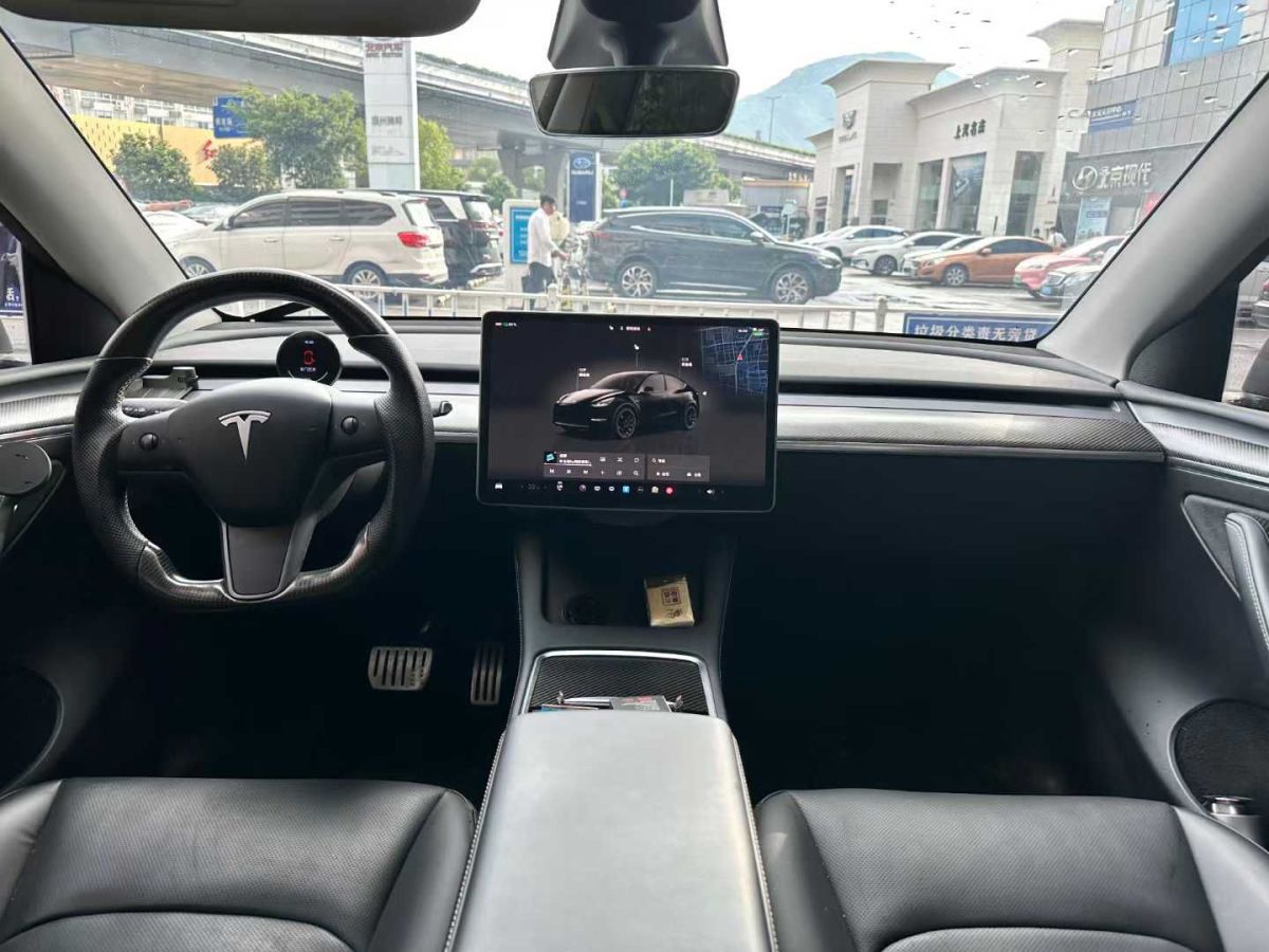 特斯拉 Model Y  2022款 Performance高性能全輪驅(qū)動版圖片
