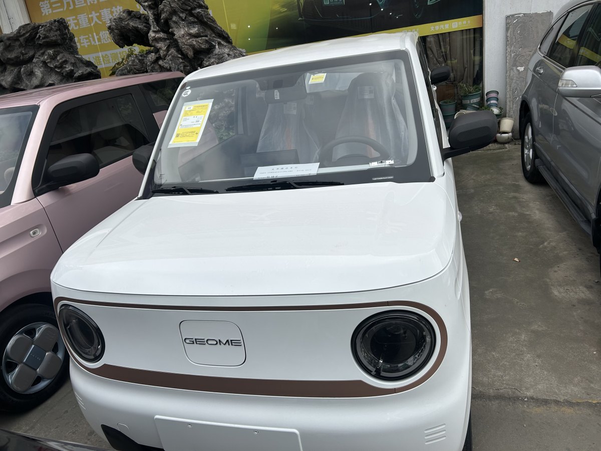 吉利 熊貓mini  2024款 改款 熊貓mini 200km 龍騰版圖片