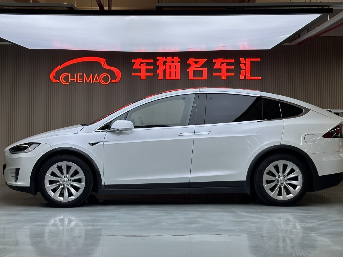 特斯拉 Model X  2016款 Model X 75D圖片