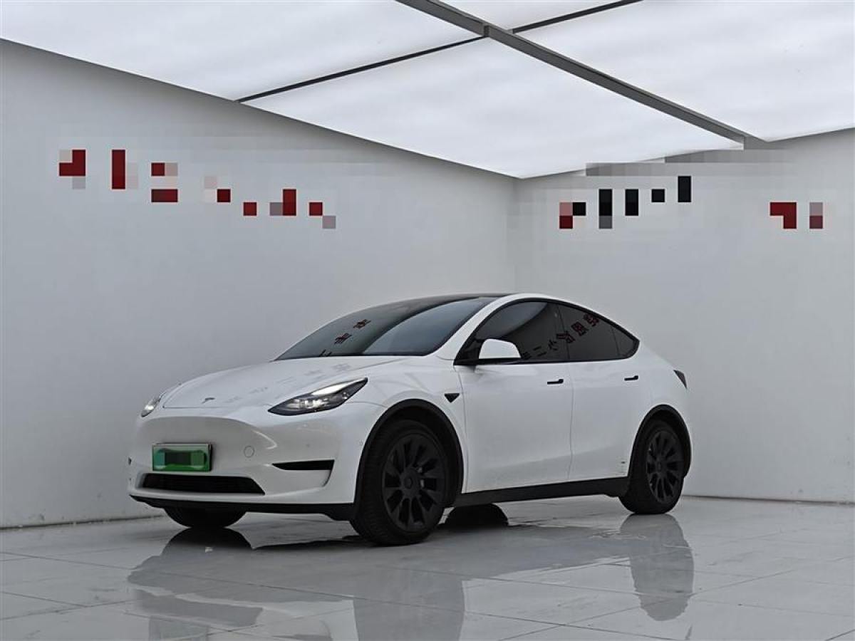 特斯拉 Model Y  2020款 改款 長續(xù)航后輪驅(qū)動版圖片