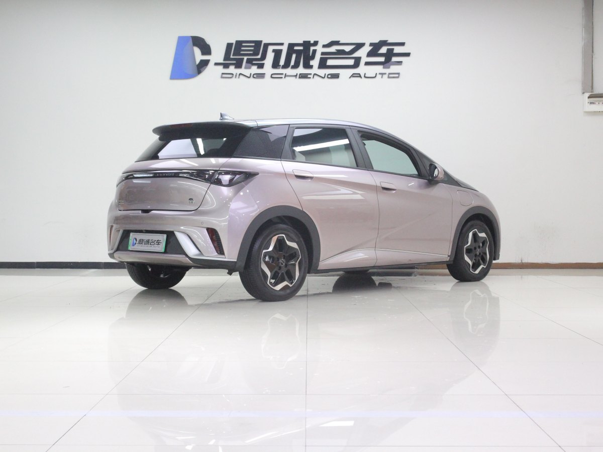 2022年3月比亞迪 海豚  2021款 405km 時(shí)尚版