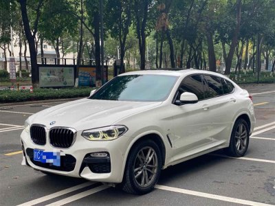 2019年7月 寶馬 寶馬X4(進(jìn)口) xDrive25i M運(yùn)動(dòng)套裝圖片