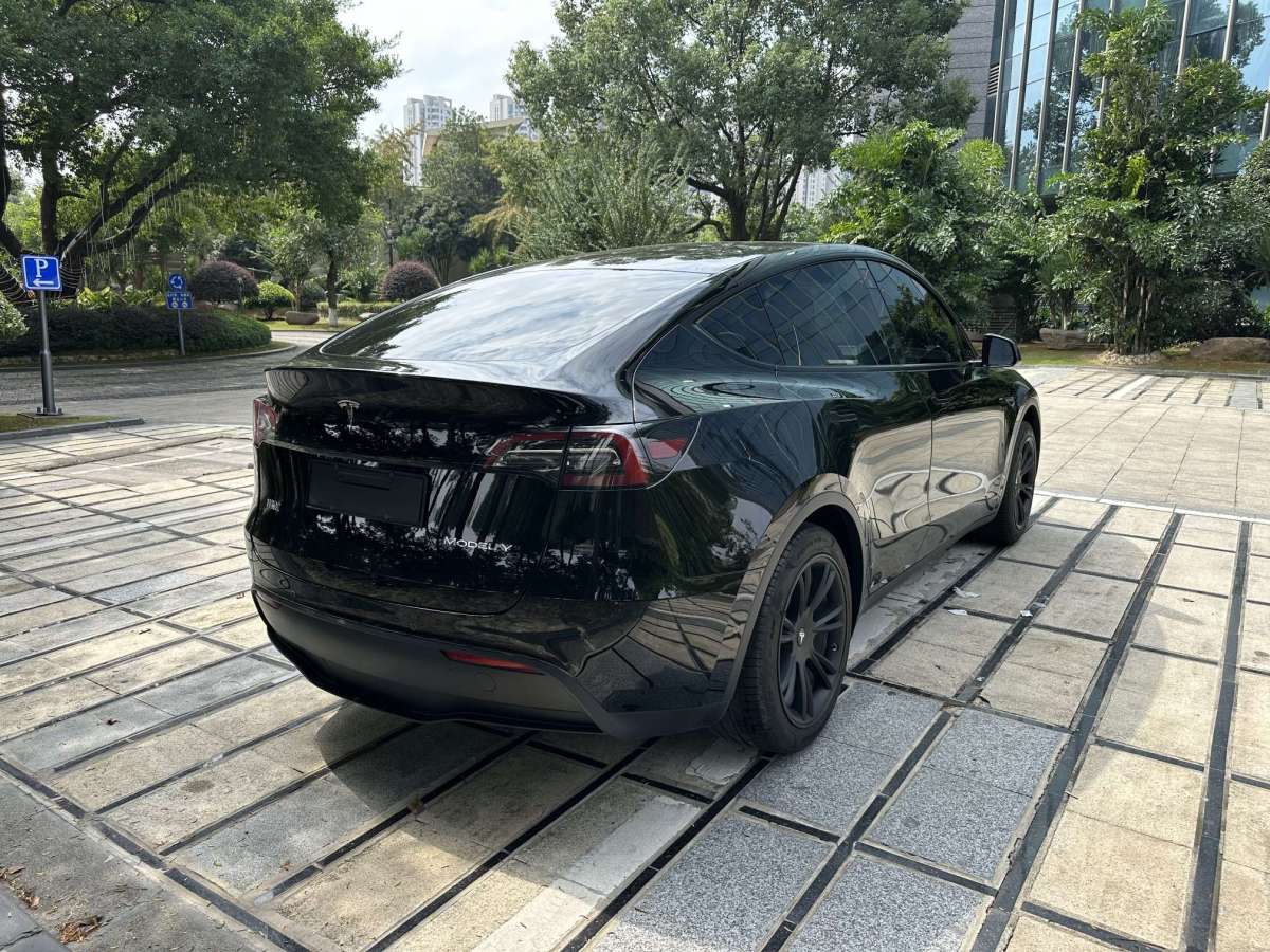 特斯拉 Model Y  2021款 長續(xù)航全輪驅動版圖片