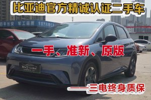 海豚 比亞迪 420km 時(shí)尚版