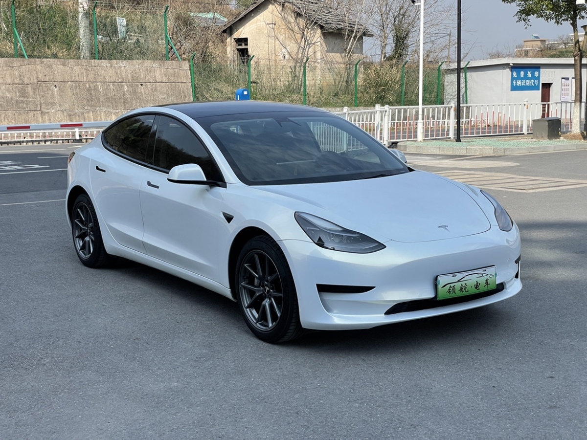 特斯拉 Model 3  2021款 標(biāo)準(zhǔn)續(xù)航后驅(qū)升級(jí)版圖片