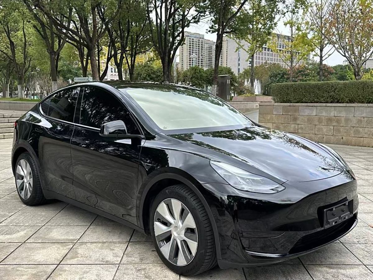 特斯拉 Model 3  2022款 后輪驅(qū)動(dòng)版圖片