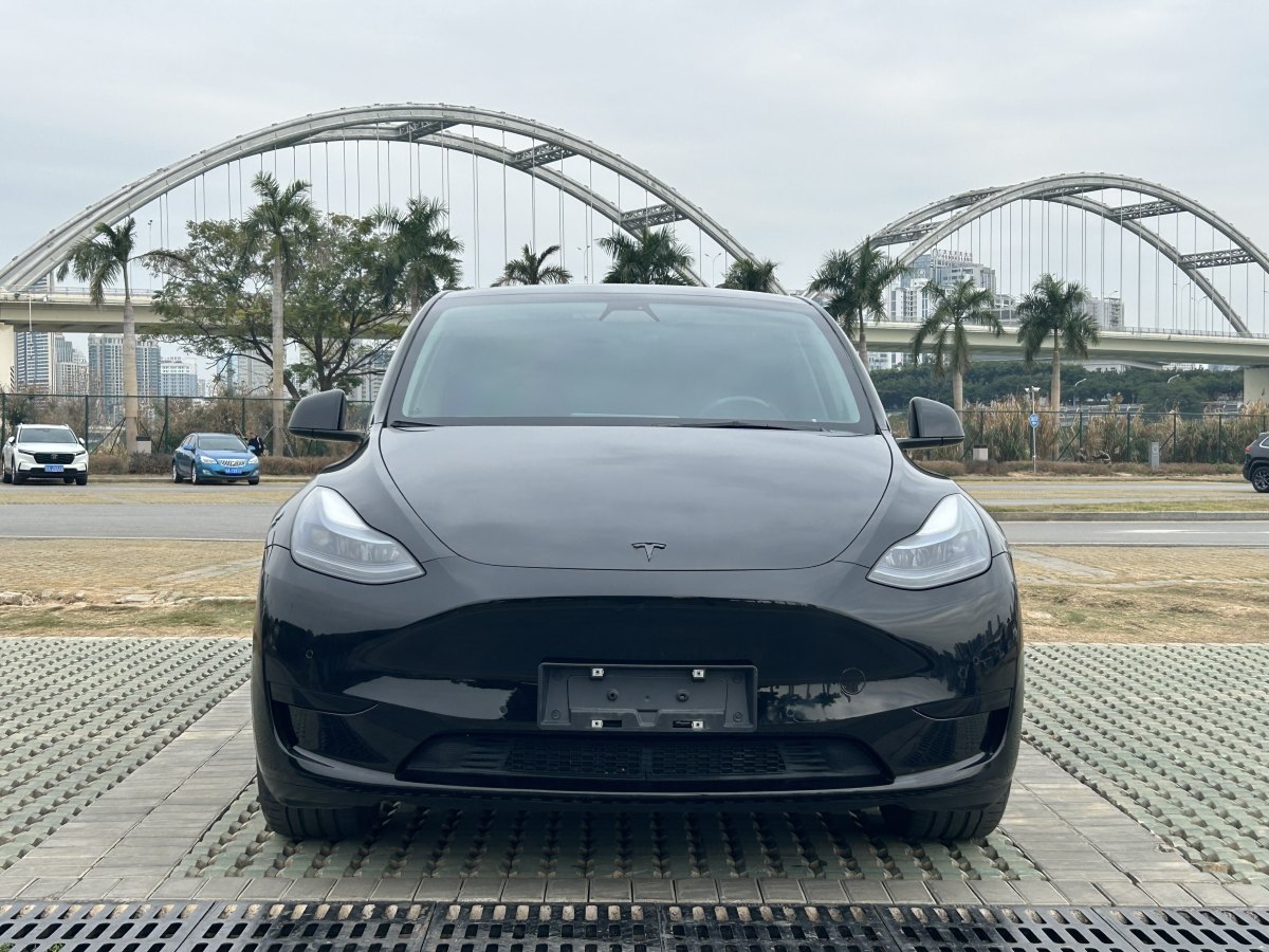 特斯拉 Model 3  2020款 改款 長續(xù)航后輪驅(qū)動版圖片