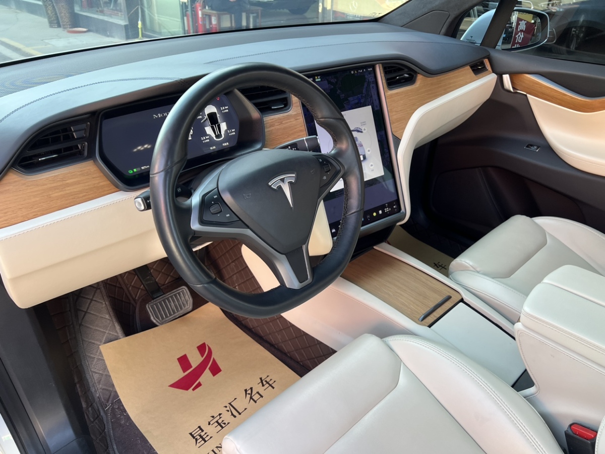 2022年1月特斯拉 Model X  2019款 长续航版