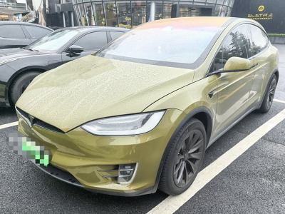 2019年4月 特斯拉 Model X Model X 75D图片