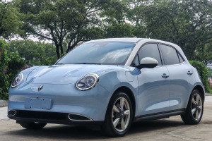 歐拉好貓 歐拉 400km標(biāo)準(zhǔn)續(xù)航 維納斯版 三元鋰