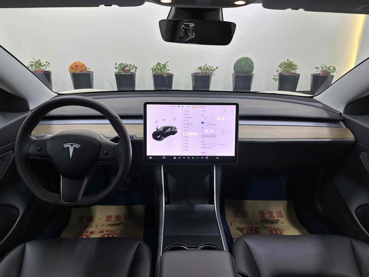 特斯拉 Model 3  2019款 標(biāo)準(zhǔn)續(xù)航后驅(qū)升級(jí)版圖片