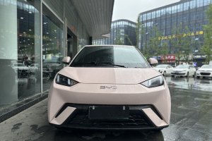 海鷗 比亞迪 榮耀版 305km 自由版