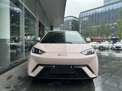 2024年6月 比亞迪 海鷗 榮耀版 305km 自由版圖片