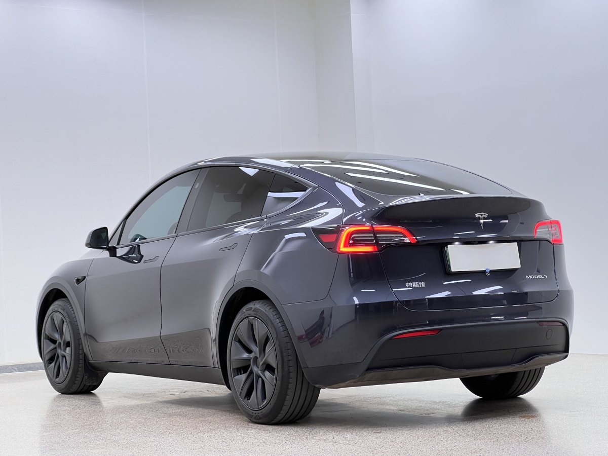 特斯拉 Model Y  2020款 改款 長續(xù)航后輪驅(qū)動版圖片