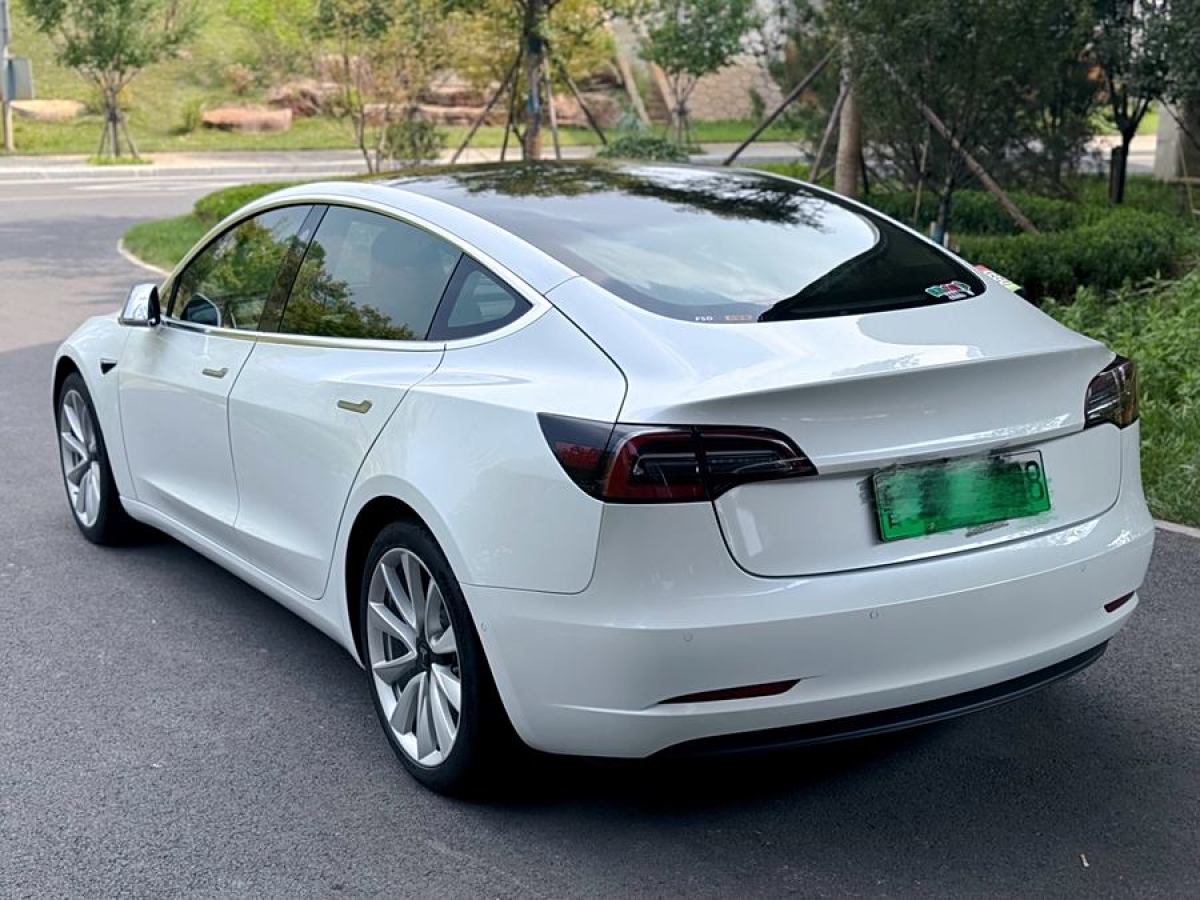 特斯拉 Model 3  2019款 长续航后驱版图片