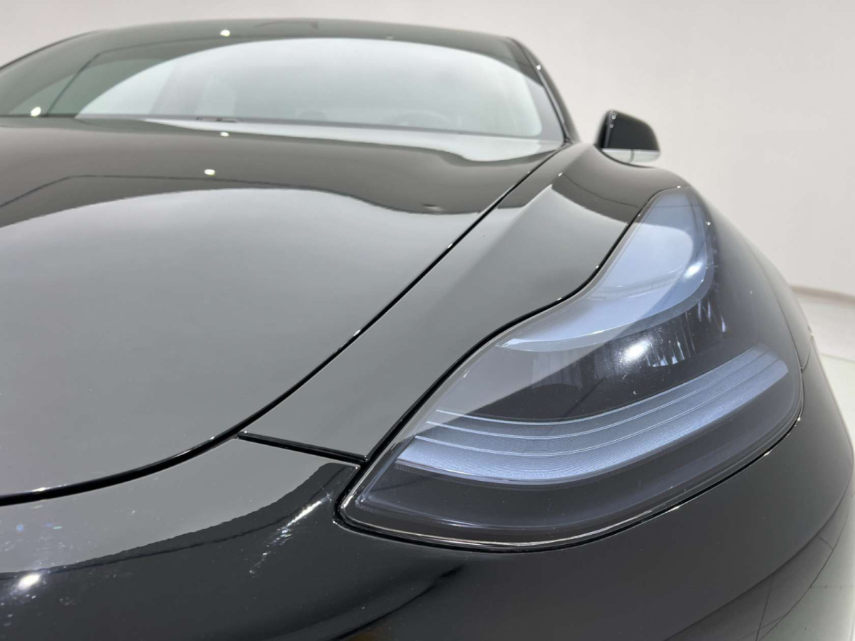 特斯拉 Model 3  2019款 標(biāo)準(zhǔn)續(xù)航后驅(qū)升級版圖片