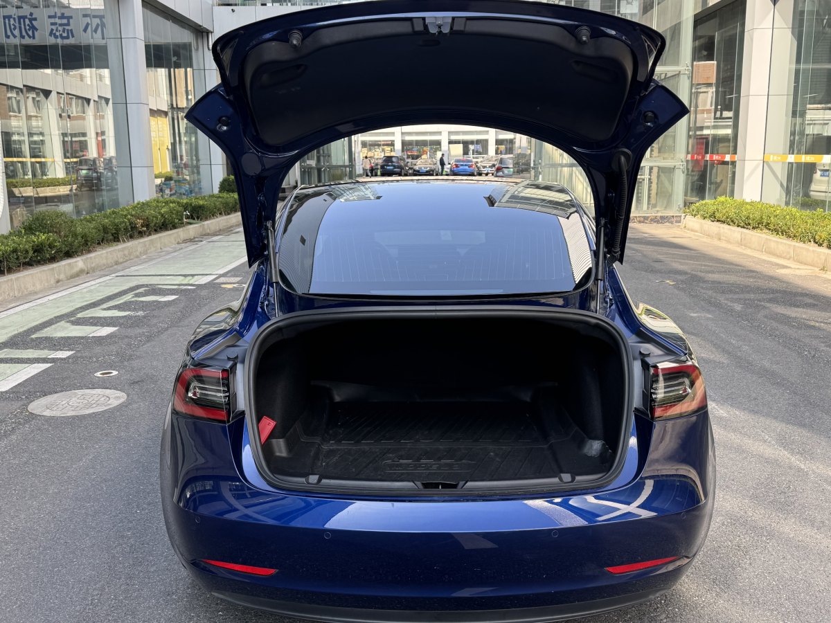 特斯拉 Model 3  2019款 標準續(xù)航后驅(qū)升級版圖片