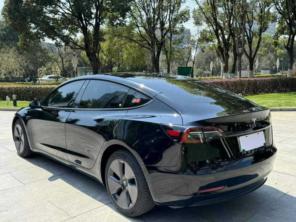 特斯拉 Model S  2023款 三電機(jī)全輪驅(qū)動 Plaid版圖片