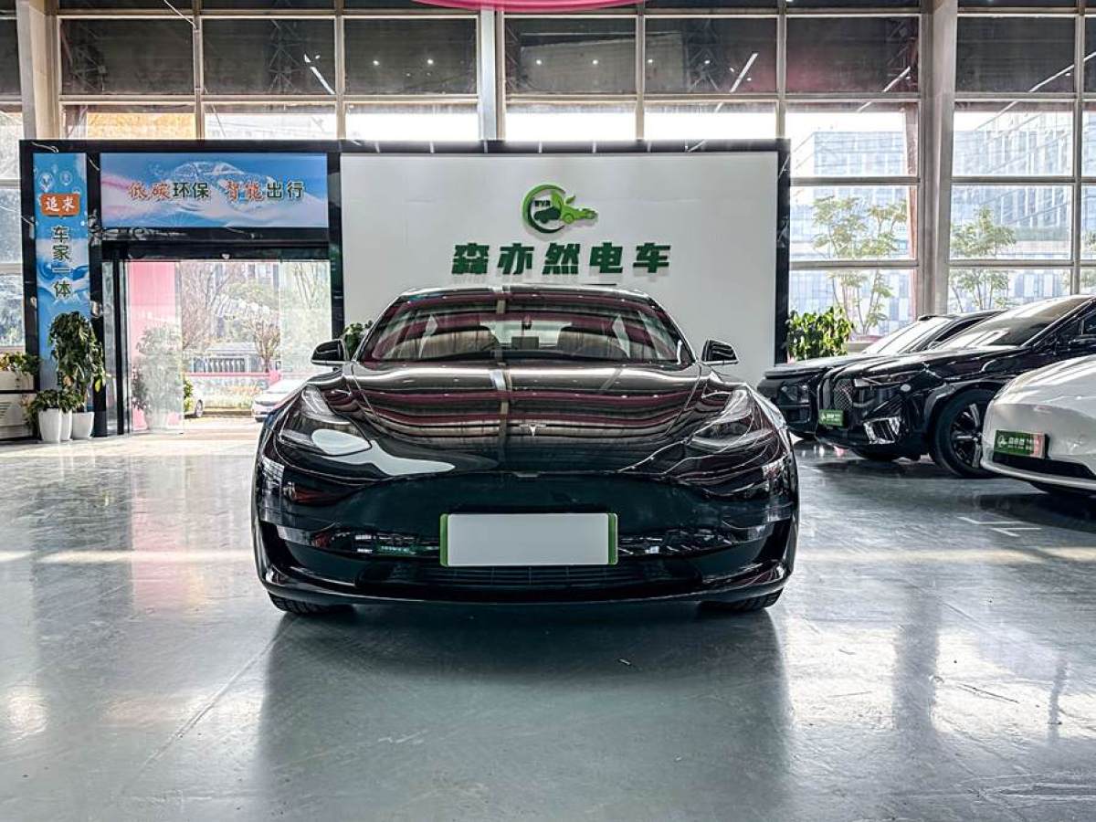 特斯拉 Model 3  2019款 標(biāo)準(zhǔn)續(xù)航后驅(qū)升級(jí)版圖片