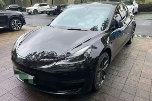 Model 3 特斯拉 Performance高性能全輪驅(qū)動版