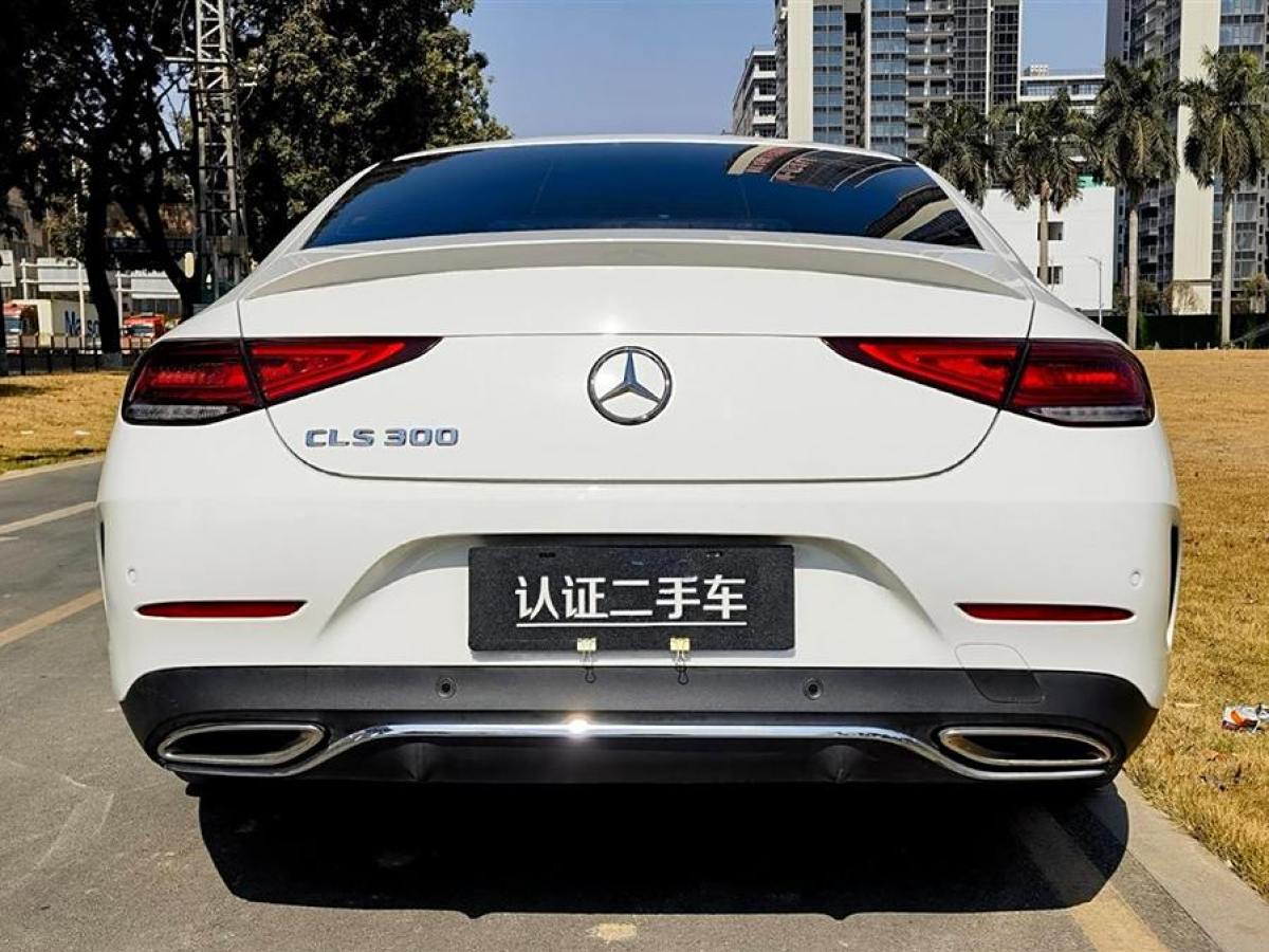 奔馳 奔馳CLS級(jí)  2021款 改款 CLS 300 豪華型圖片