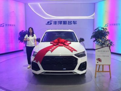 2022年1月 奥迪 奥迪Q5 e-tron 40 e-tron 星耀型 机甲套装图片