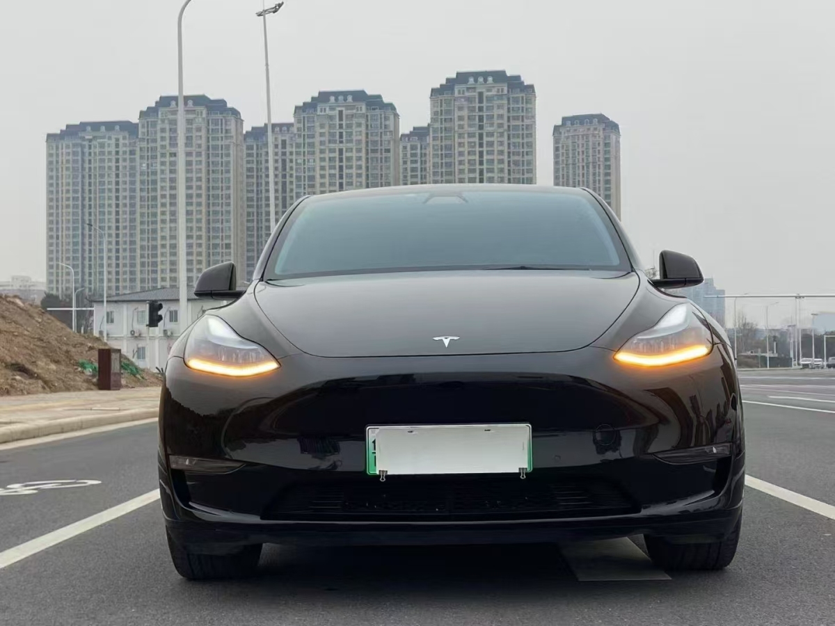 特斯拉 Model 3  2022款 Performance高性能全輪驅(qū)動(dòng)版圖片