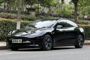 Model 3 特斯拉 長續(xù)航后驅(qū)版