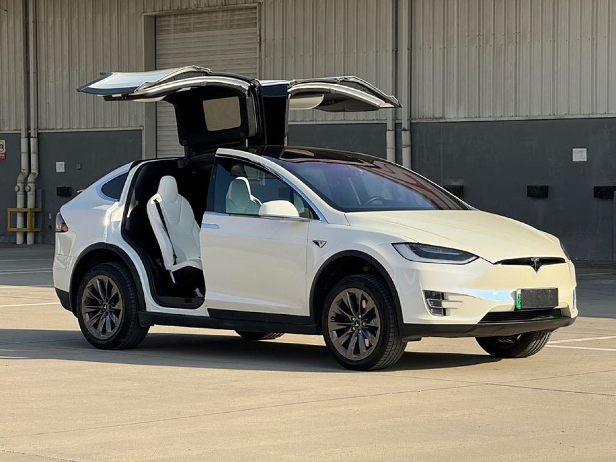 特斯拉 Model X  2017款 Model X 100D 長續(xù)航版圖片