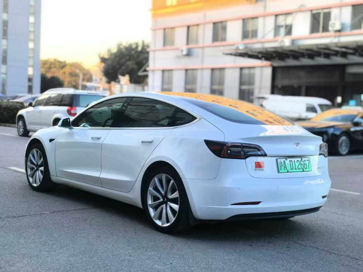 特斯拉 Model X  2020款 Performance 高性能版圖片