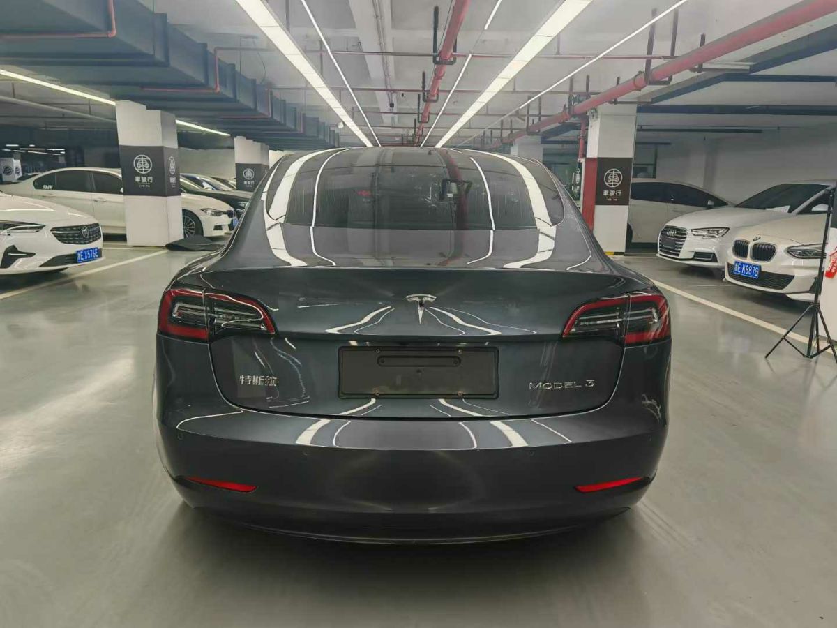 特斯拉 Model X  2020款 Performance 高性能版圖片